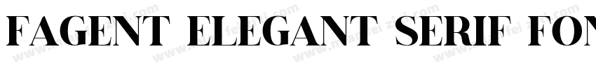 Fagent Elegant Serif Font字体转换